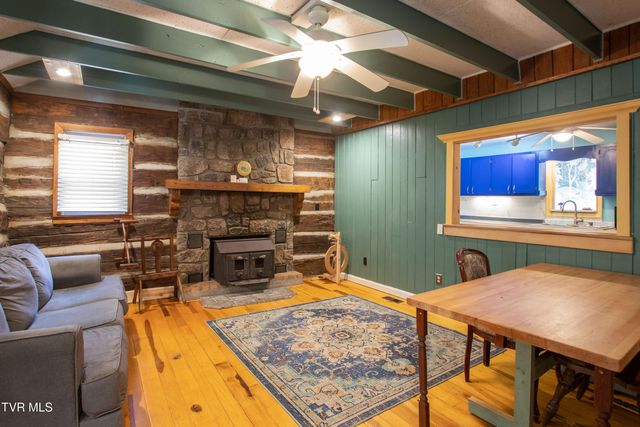 331 Bear Cage Road, Roan Mountain, TN 37687