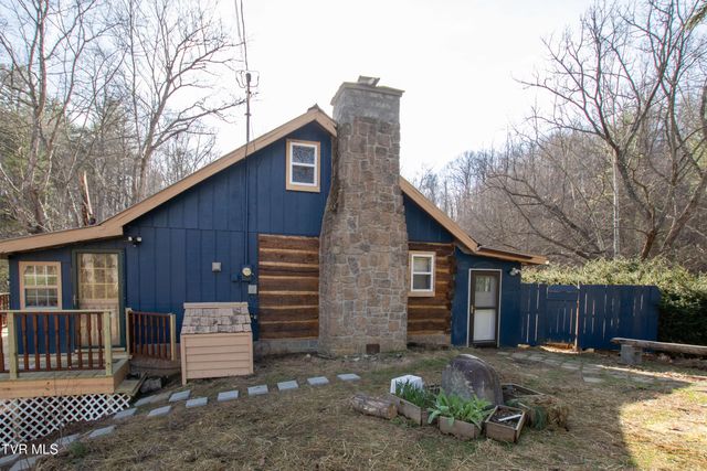 331 Bear Cage Road, Roan Mountain, TN 37687