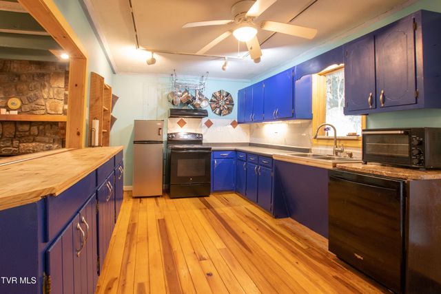 331 Bear Cage Road, Roan Mountain, TN 37687