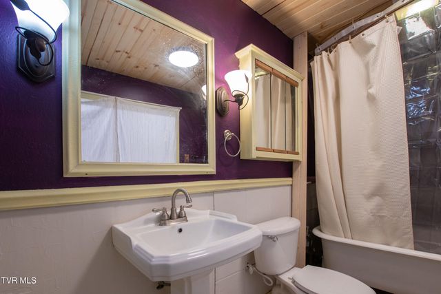 331 Bear Cage Road, Roan Mountain, TN 37687