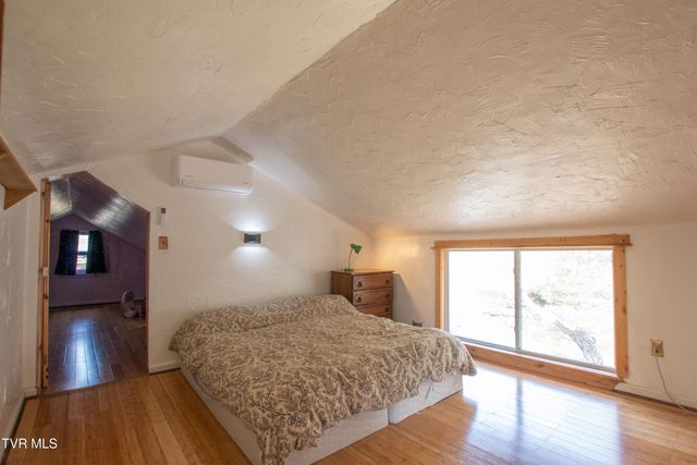 331 Bear Cage Road, Roan Mountain, TN 37687