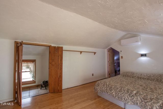 331 Bear Cage Road, Roan Mountain, TN 37687