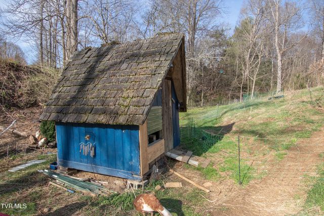 331 Bear Cage Road, Roan Mountain, TN 37687