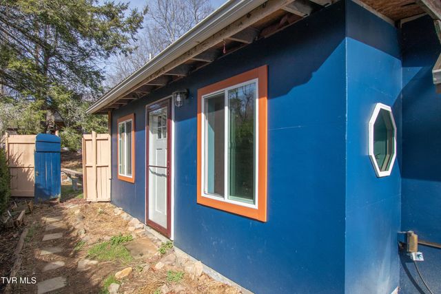 331 Bear Cage Road, Roan Mountain, TN 37687