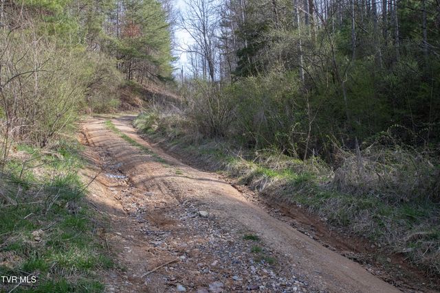 331 Bear Cage Road, Roan Mountain, TN 37687
