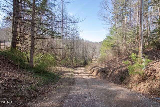 331 Bear Cage Road, Roan Mountain, TN 37687