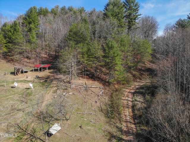 331 Bear Cage Road, Roan Mountain, TN 37687