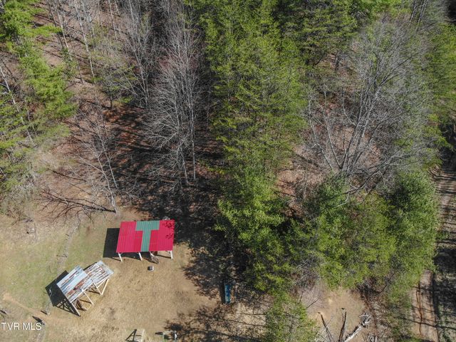 331 Bear Cage Road, Roan Mountain, TN 37687