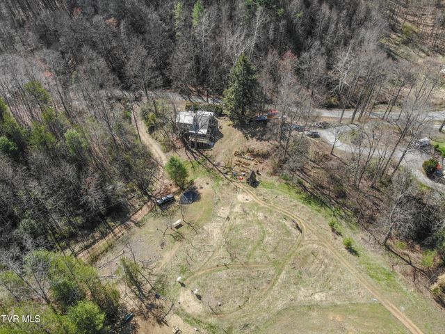 331 Bear Cage Road, Roan Mountain, TN 37687