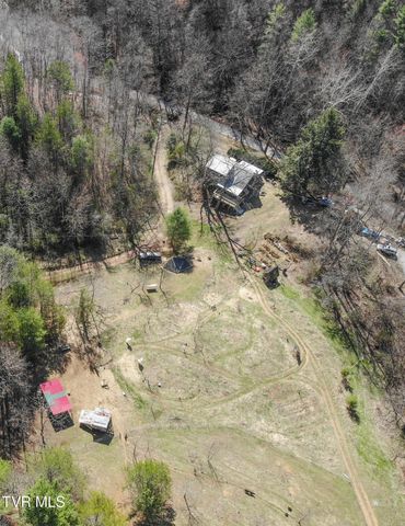 331 Bear Cage Road, Roan Mountain, TN 37687