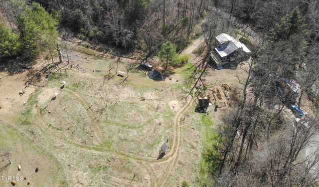 331 Bear Cage Road, Roan Mountain, TN 37687