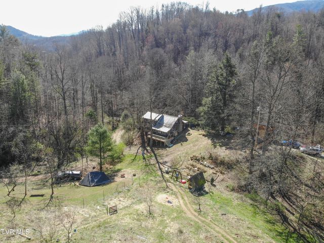 331 Bear Cage Road, Roan Mountain, TN 37687