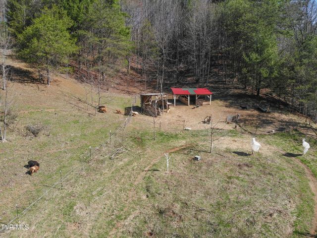 331 Bear Cage Road, Roan Mountain, TN 37687