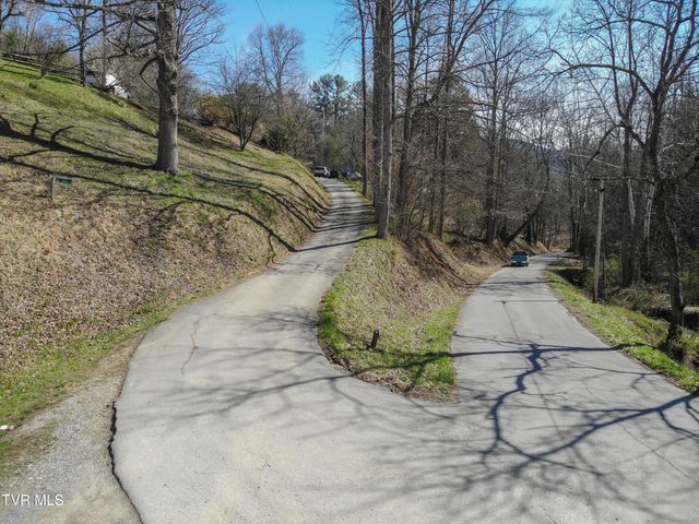 331 Bear Cage Road, Roan Mountain, TN 37687
