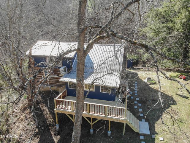 331 Bear Cage Road, Roan Mountain, TN 37687