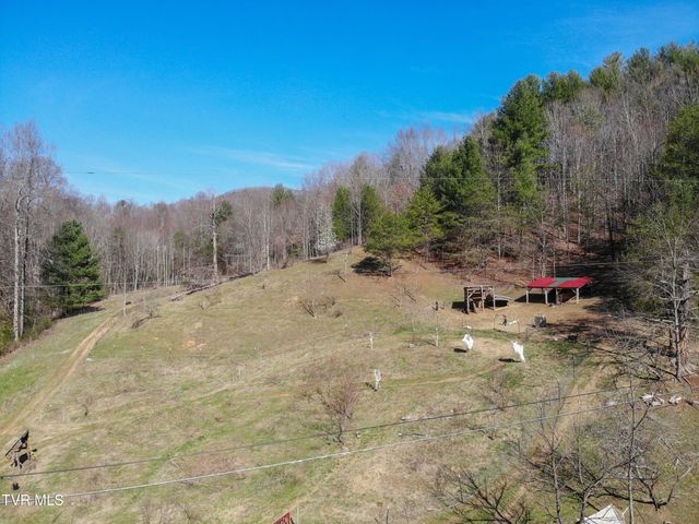 331 Bear Cage Road, Roan Mountain, TN 37687