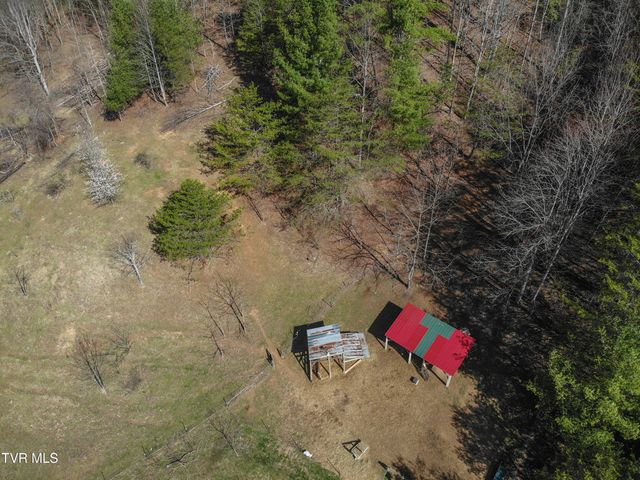 331 Bear Cage Road, Roan Mountain, TN 37687