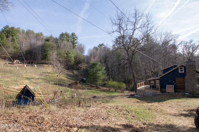 331 Bear Cage Road, Roan Mountain, TN 37687
