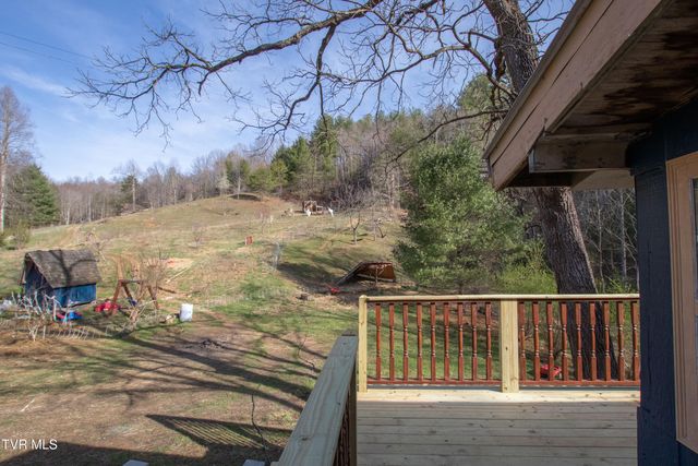 331 Bear Cage Road, Roan Mountain, TN 37687