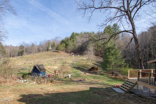 331 Bear Cage Road, Roan Mountain, TN 37687