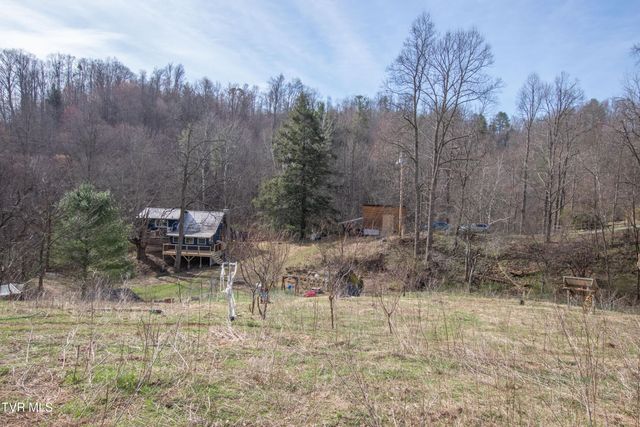 331 Bear Cage Road, Roan Mountain, TN 37687
