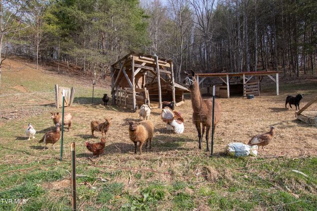 331 Bear Cage Road, Roan Mountain, TN 37687