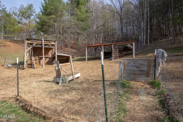 331 Bear Cage Road, Roan Mountain, TN 37687