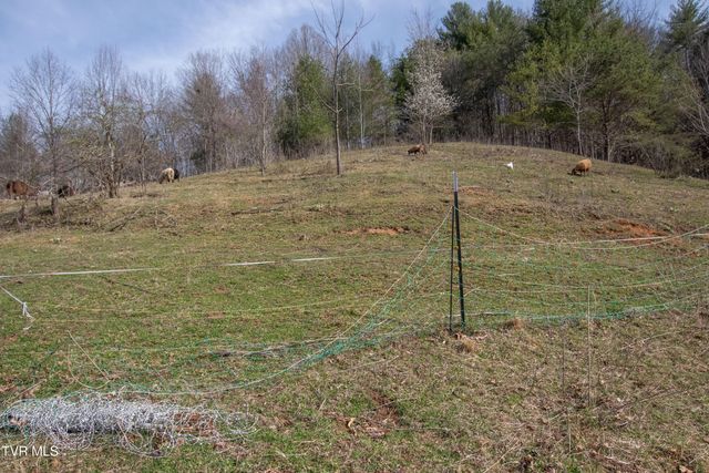 331 Bear Cage Road, Roan Mountain, TN 37687