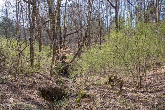 331 Bear Cage Road, Roan Mountain, TN 37687