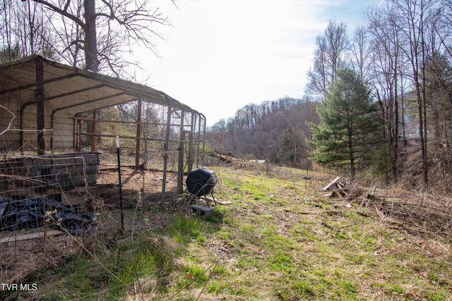 331 Bear Cage Road, Roan Mountain, TN 37687