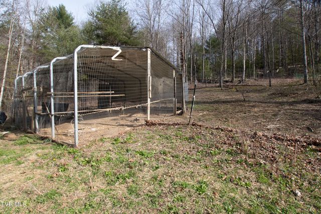 331 Bear Cage Road, Roan Mountain, TN 37687