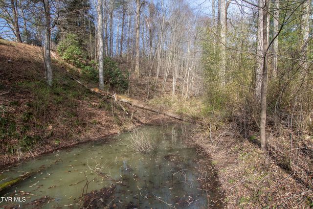 331 Bear Cage Road, Roan Mountain, TN 37687