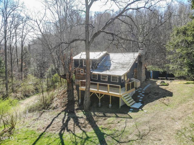 331 Bear Cage Road, Roan Mountain, TN 37687