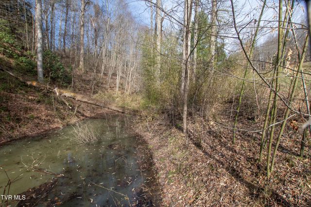 331 Bear Cage Road, Roan Mountain, TN 37687