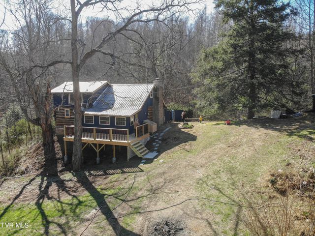 331 Bear Cage Road, Roan Mountain, TN 37687