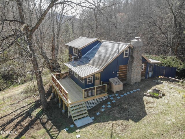 331 Bear Cage Road, Roan Mountain, TN 37687