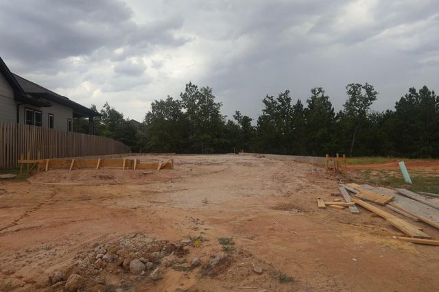 2006 Lobo Court, Todd Mission, TX 77316