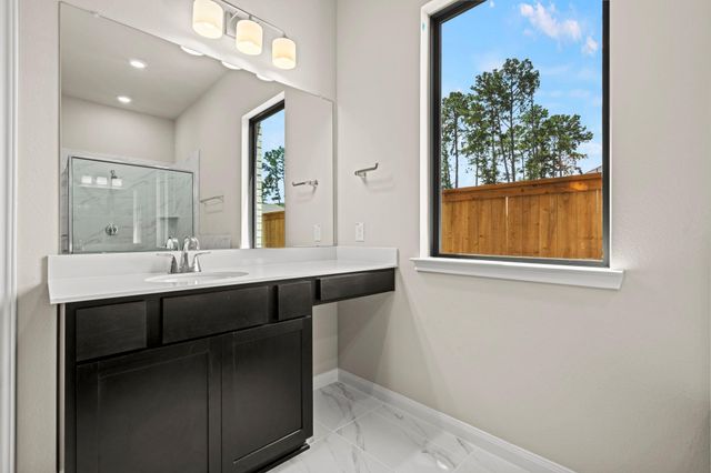22017 Gateway Arch Drive, Porter, TX 77365