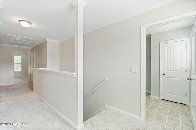 115 Bunchberry Court, Hampstead, NC 28443