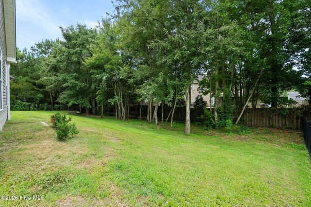 115 Bunchberry Court, Hampstead, NC 28443