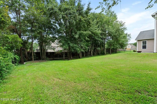115 Bunchberry Court, Hampstead, NC 28443