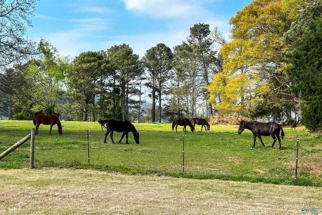 6122 Feather Way SE, Owens Cross Roads, AL 35763