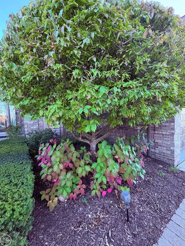 21220 Briar Rose Drive, Macomb Twp, MI 48044