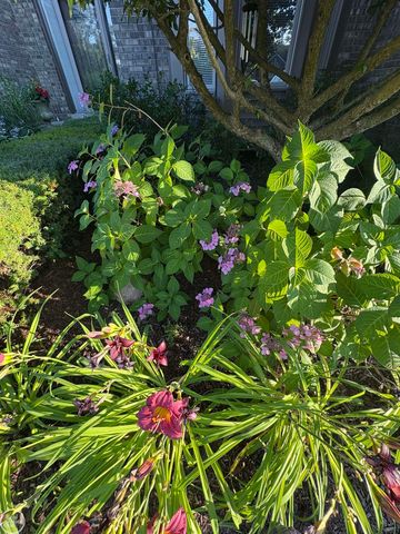 21220 Briar Rose Drive, Macomb Twp, MI 48044