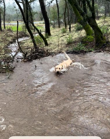 4402 Jaquima Dr, Angels Camp, CA 95222