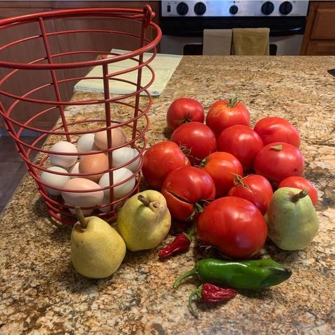 4402 Jaquima Dr, Angels Camp, CA 95222