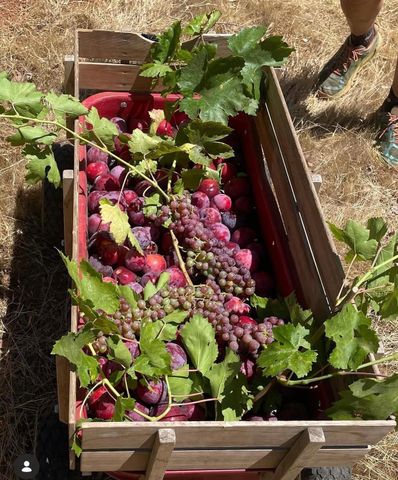 4402 Jaquima Dr, Angels Camp, CA 95222