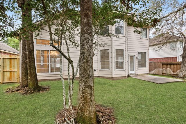 22 Almond Branch Place, The Woodlands, TX 77382