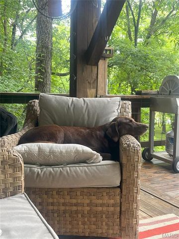 1 Richbark Lane, Van Buren, MO 63965