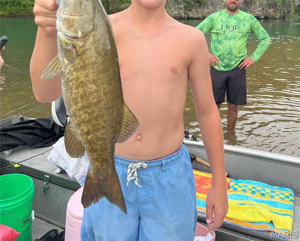 1 Richbark Lane, Van Buren, MO 63965